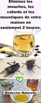 Produit cafard, vous allez découvrir des informations essentielles pour lutter contre des cafards. Eliminez Les Mouches Les Cafards Et Les Moustiques De Votre Maison En Seulement 2 Heures Clean House Cleaning Hacks Insecticide