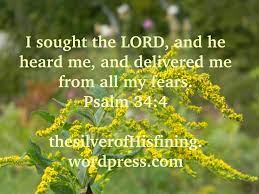 Vessels For The Master S Use 368 612 Read Bible Bible Reading Schedule Daily Bible Reading