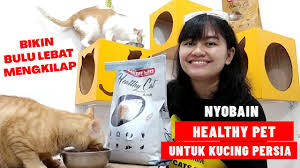 Harap check stock sebelum diorder. Review Catfood Snappy Tom Baby Wetfood Favorit Kucing My Cats Diary Youtube