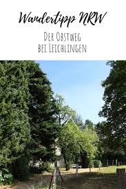Der Obstweg Das Fliegende Klassenzimmer In 2020 Wandertipps Im Freien Reisen