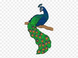 This will be the torso of our peacock. Bird Drawing Peacock Easy Drawing Of Peacock Hd Png Download 678x600 2127120 Pngfind