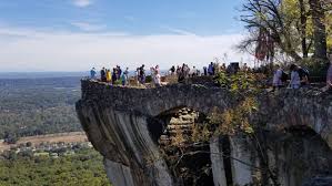We did not find results for: Southern Blooms At Rock City Lookout Mountain