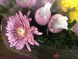 We are open for shipping and contactless pick up. Sydney Flower Market Sydney By Gigi Gmv