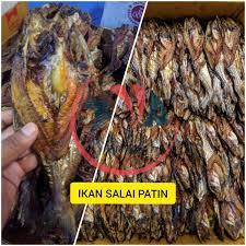 Sedangkan lapak sebelah strike terus, bagaimana cara membuat. Ikan Salai Ikan Asap Patin 500gr Shopee Indonesia