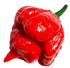 Produce Clerk The Produce Clerks Handbook By Rick Chong Stuffed Peppers Stuffed Hot Peppers Hot Pepper Seeds
