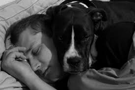 PSA: Contrary to the rumors that we've seen floating around the music  industry, XF1 was not the band that was removed from Ozzy's final show by  Sharon Osbourne. Thank you.