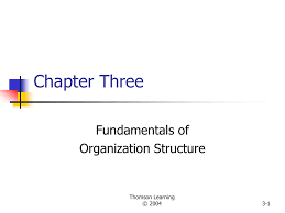 chapter three fundamentals of organization structure thomson