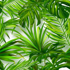 Find & download free graphic resources for tropical leaves. Seamless Summer Pattern With Tropical Plants Modern Abstract Royalty Free Cliparts Vectors And Stock Illustration Image 123122302
