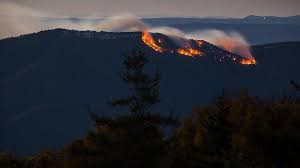 Maybe you would like to learn more about one of these? Wildfire In Monongahela National Forest Grows To More Than 50 Acres Wchs