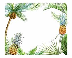 Pineapple drink the jpgs and pngs are high quality with a resolution of 300 dpi. Tropical Leaves Frame Valeriam Trendme Net Tropical Pineapple Border Clip Art Transparent Png Download 4537097 Vippng