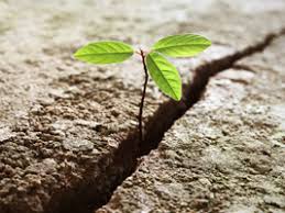 Hoffnung Spruche Schone Spruche Uber Die Hoffnung Spruch Com