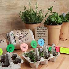 Pack Bahce Jardinier Crafts Diy Gifts Seed Starter Kit
