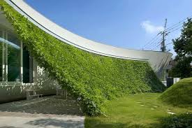 Green Curtain Green Architecture Landscape Design Screen House