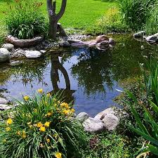 It is a preformed liner, so you won't need to stress over correct if your pond is very large, using rpes may be your best bet, since they are easily welded together using heat. Best Fish Pond Liners 2021 Top Products Compared Pond Informer