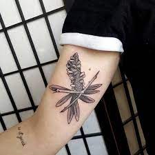 Banksia By Paulstillen Botanical Tattoo Moon Tattoo Tattoos