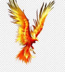 T he image of the mystical phoenix is widely recognized, though perhaps not everyone is familiar with the story behind the bird. Fireworks Phoenix Bird Red Png Pngegg