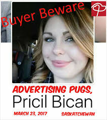 Be cautious when buying a puppy from Judy's Southern Pugs