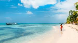 Just throw a picture in everypixel with a search by picture option. 8 Best Travel Package Sites For Booking A Cheap Vacation 2020