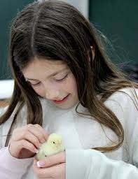 EXTENSION NEWS: Kolby Ramsey raising broilers and competing at the Angelina  County Fair