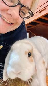 DoeDoe's Pet Services