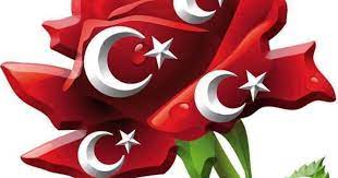 erkek kiligina girerek milli mucadele saflarinda yerini alan halime cavus halime kocabiyik 1898 yilinda kastamonu merkez duru c islami sanat sanat bayrak