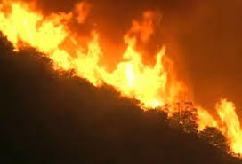 52.710 gli interventi dei vigili del fuoco per gli incendi boschivi e di vegetazione in genere dal 10 giugno al 25 agosto. Drspmkjnjju9dm