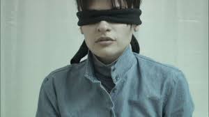 Fortress America: Luisa Colon