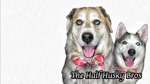 Stacey Meltzer's Instagram, Twitter & Facebook