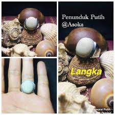 Batu mustika petir batu mustika petir tuah/khasiat/manfaat batu mustika petir: Pin On Gemstones