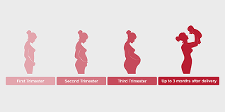 Expecting Or Recently Had A Baby Learn About Blood Clots Cdc