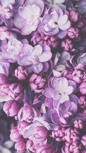 2560 x 1600 jpeg 322 кб. Flowers Wallpaper And Purple Image Flower Wallpaper Purple Wallpaper Iphone Wallpaper