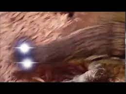 Omae Wa Mou Shindeiru Nani Meme Compilation 2017 3 300 Sub Special Youtube