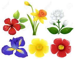 Such as in our collection of pictures of beautiful bouquets! Different Types Of Flowers Illustration Royalty Free Cliparts Vectors And Stock Illustration Image 68313072