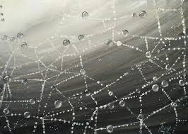 Dew On Spider Web By Anirban Kar Spider Web Original Artwork Artwork