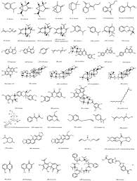 Image result for Pimpinella sp. A. of FZ 4: 594