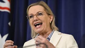 Quade Coooper, Gold Coast, Ben May Burleigh Pavilion and hot property