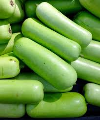 If you're growing them big for bragging rights or seeds, you'll need to provide them some structural support. What Is Long Squash Opo Squash Or Cucuzza My Favourite Pastime