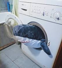 Ikea Released An Adorable Plush Shark And People Are Losing Their Minds Over It Shark Plush Shark Meme Shark Toy
