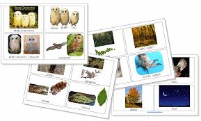 Imagier Bebes Chouettes Bebes Chouettes Chouette Theme Oiseaux Maternelle