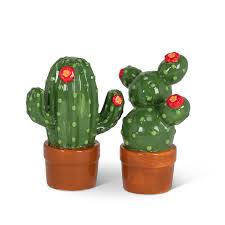 Reddit gives you the best of the internet in one place. Blooming Prickly Cactus Salt And Pepper Shakers Set Ceramic Walmart Com Walmart Com