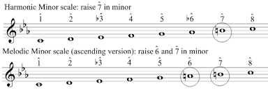 For each example given above, analyze the melody. Minor Key Signatures