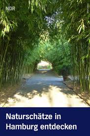 Botanischer Garten In Hamburg Schatze Der Natur Botanischer Garten Ausflug Garten
