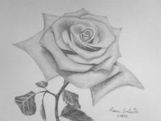 Fototapet peisaj gradina cu trandafiri, fototapet pentru bucatarie, folina from www.folina.ro. Tablouri In Creion Carbune Roxana Constantin Trandafir Desene In Creion Cu Flori Drawings Art Painting Abstract Artwork