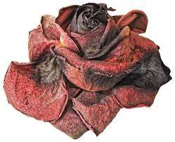 Dead Rose Png By Karahrobinson Art On Deviantart Clothes Design Still Life Photos Png