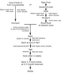 Wine Making Process Chart Wine Making Process Wine Wine