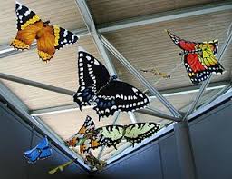 Nature Knitter Just Butterflies Library Decor Butterfly Art Butterfly Crafts