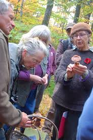 Kennebec Land Trust 25th Anniversary Celebration & Annual Meeting