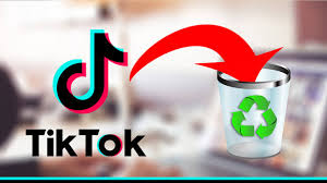 The first time when i placed an order with fastlykke, the services were not delivered on time. A Comprehensive Guide To Removing Your Digital Footprints