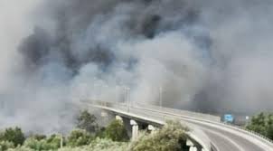 I vigili del fuoco sono al lavoro nel quadrante b della pineta di ostia, tra via del lido di castel porziano e via cristoforo colombo. W7ccauu7sbrzkm