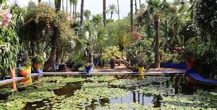 Things to do near botanical garden (botanischer garten). Die Garten Von Marrakesch Der Sonnenklar Tv Reiseblogder Sonnenklar Tv Reiseblog